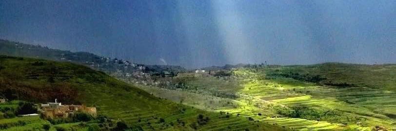 محمد ذياب banner