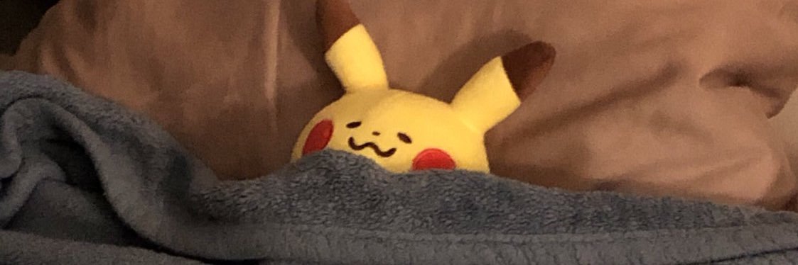 pikachu stole my credit card and called me a bitch banner