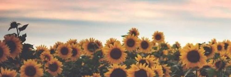 MariahPiatek's profile banner image