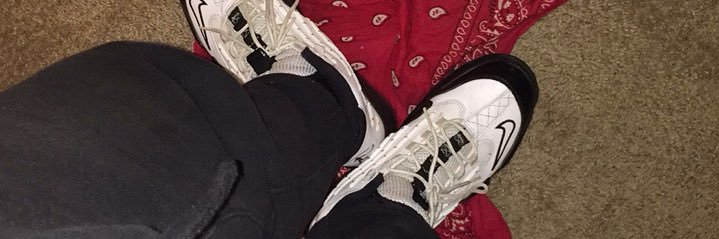 BabyLocZoo's profile banner image