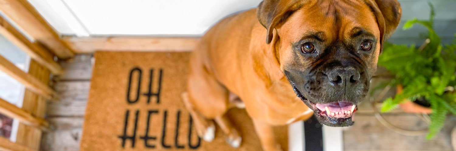Bailleeyyyyy's profile banner image