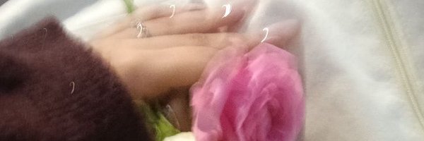 chocopiesstt Profile Banner