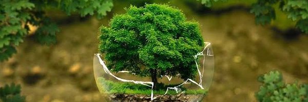 EcoDataTrend Profile Banner