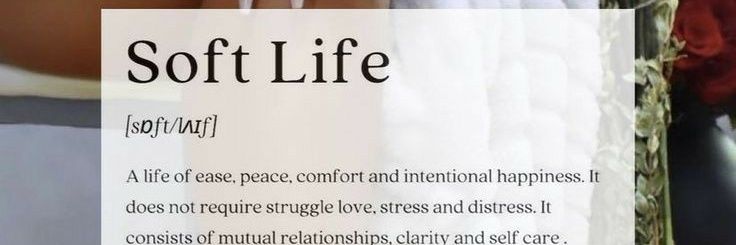 L & L ❤💡's banner