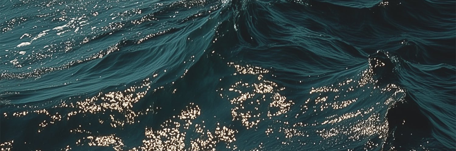 xlsdom's profile banner image