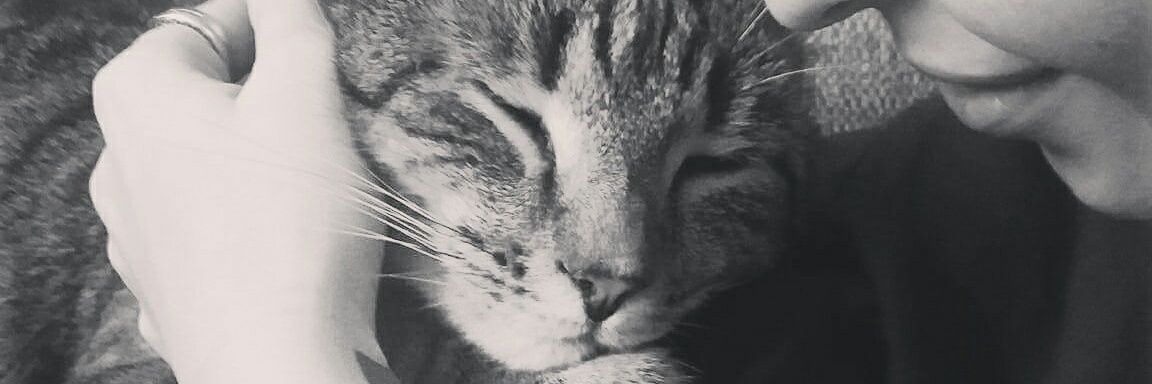 Loz__'s profile banner image