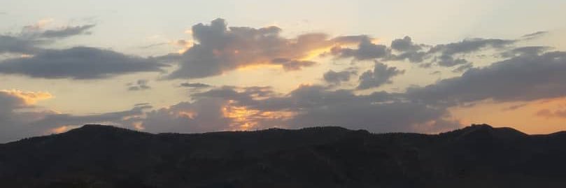 bamboohtm's profile banner image