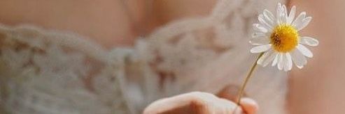 ashkenaz banner