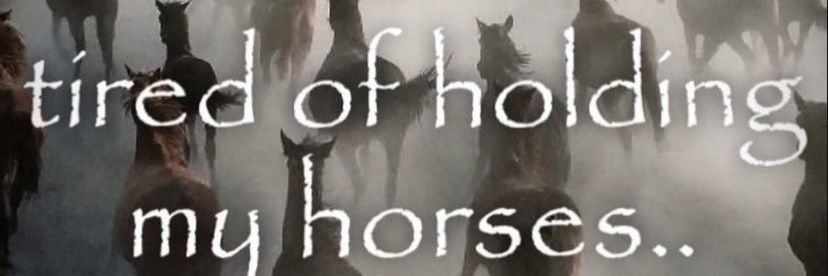 Secretlydog's profile banner image