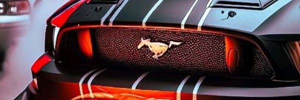 loverboydcoflel Profile Banner