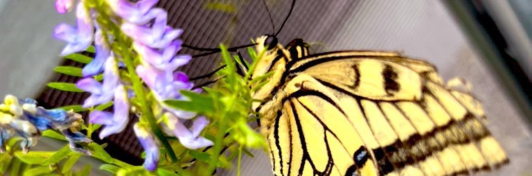 enuphot's profile banner image