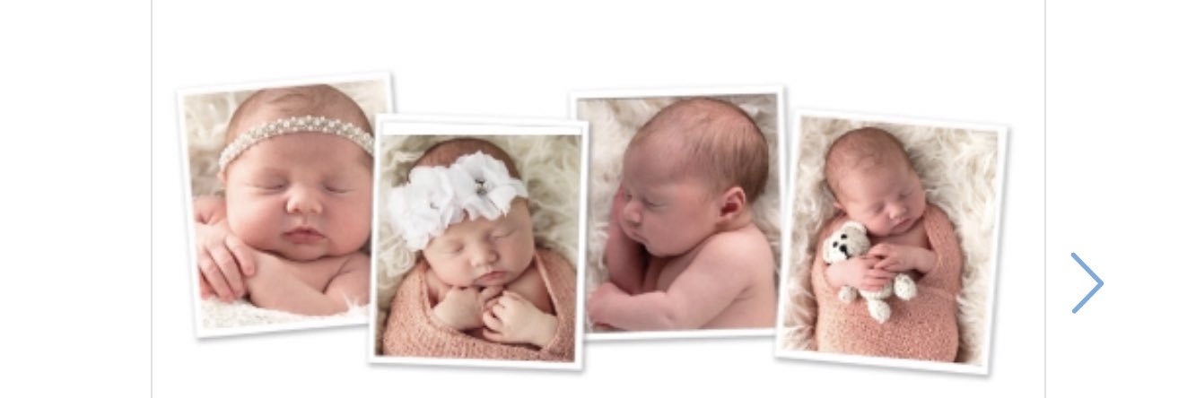 Stacey Tirrell banner