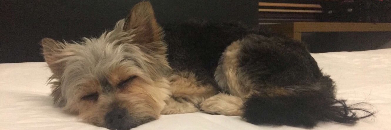 MirandaVanDell's profile banner image