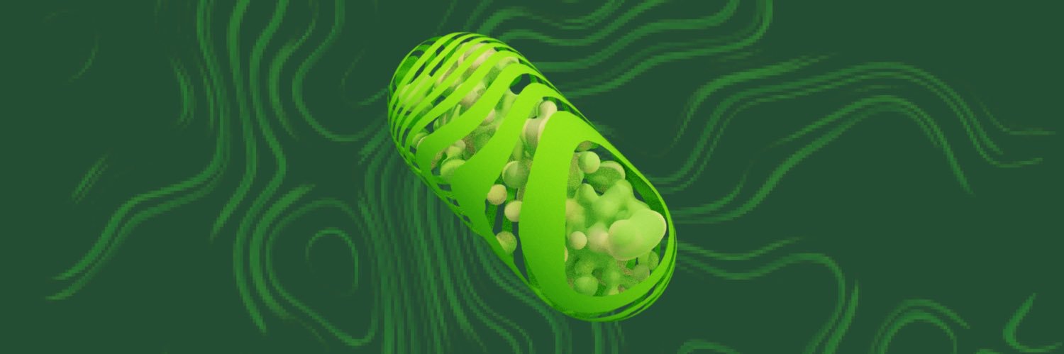 🍀 Green Pill Boston 🟢 boston.greenpill.eth banner