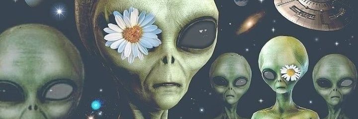 TaniaaAlaniz's profile banner image