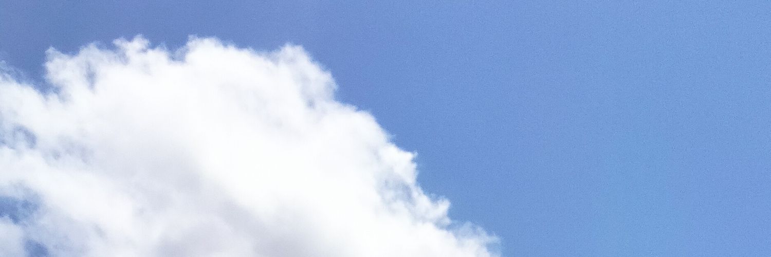 llowllyy banner