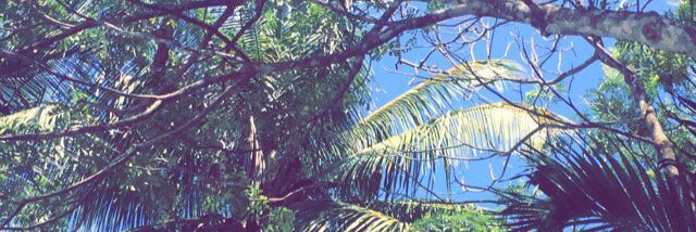 Ari_1507's profile banner image