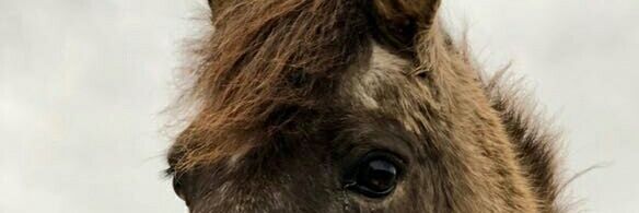 Jus de Clémentine 🍊 banner