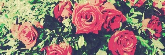 daya_bmartinez's profile banner image
