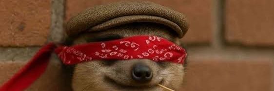 Falfred banner