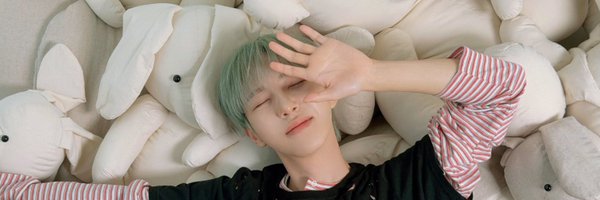 ahofdream Profile Banner