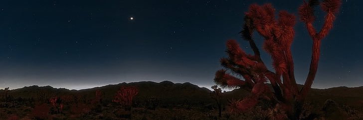 Coatl TreZnor banner