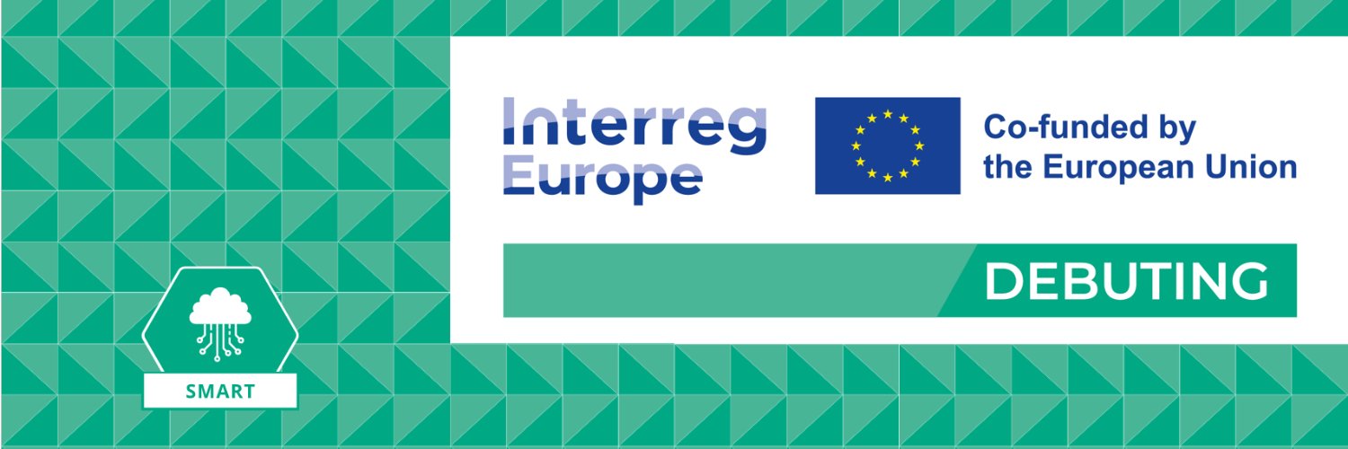 DEBUTING project banner