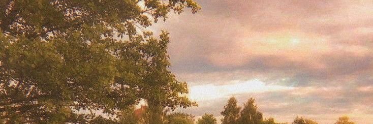 meri : 🤎🍉 banner