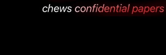 Stephen Laurier banner