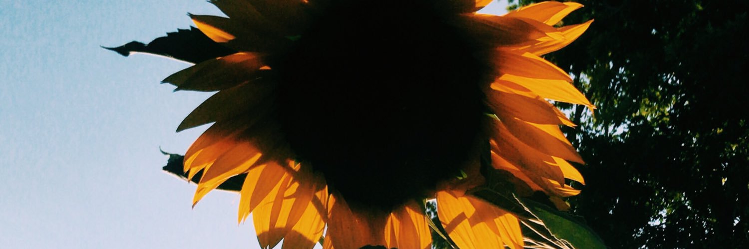 Le_nicoochellaa's profile banner image