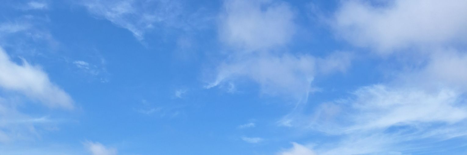 Matt banner