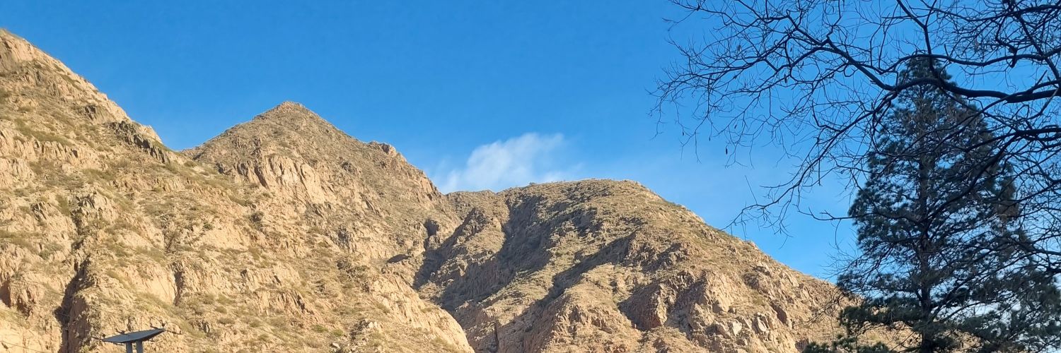 enzodon_'s profile banner image