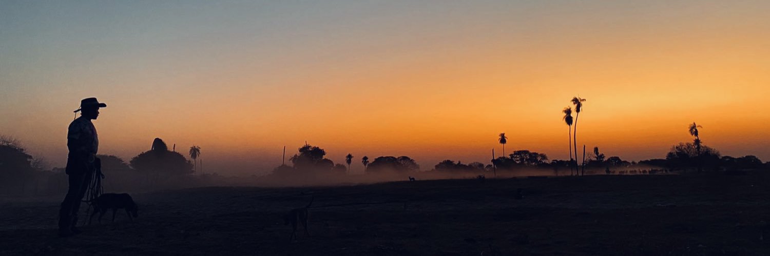 dbmarinho's profile banner image
