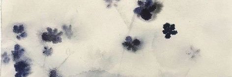 harper's banner