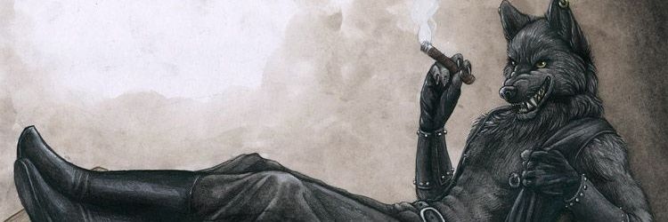 negoMKP's profile banner image