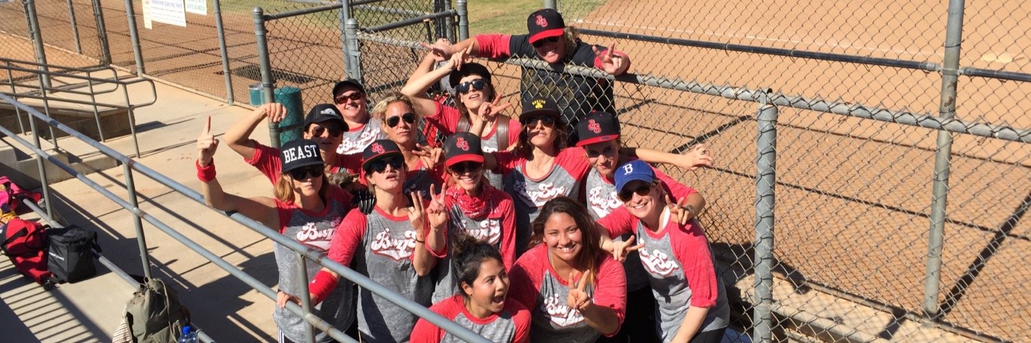 TeamBuzzSox's profile banner image