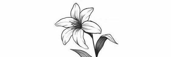 florwendoly's profile banner image