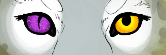 Fairin Avatar banner