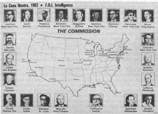 Amber first son. banner