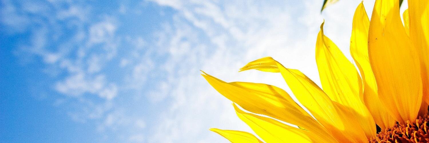 Communityasthma's profile banner image