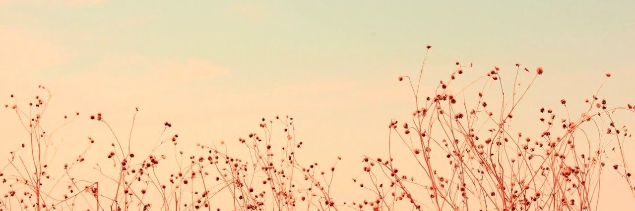 Hal_York's profile banner image