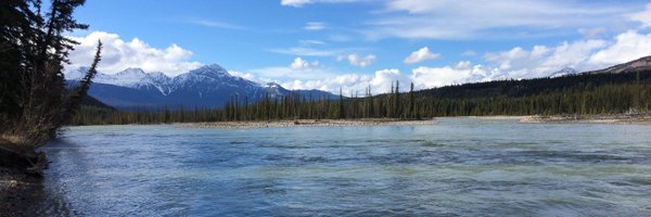 mattkmoore Profile Banner