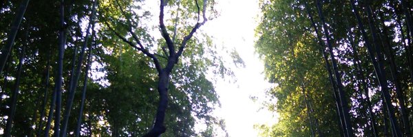 nsysk23 Profile Banner