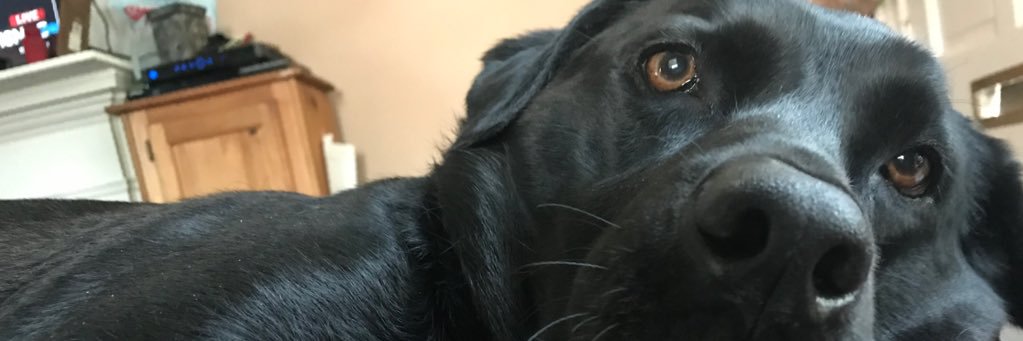 Stevemcstacy's profile banner image
