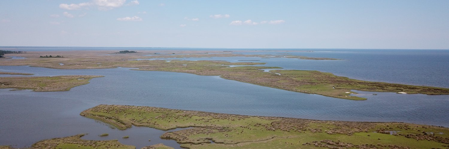 Grand Bay NERR banner