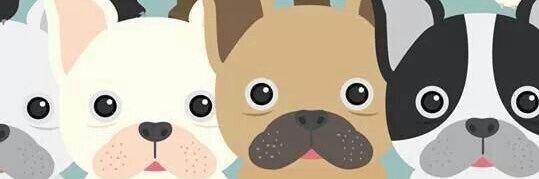1234ttcat's profile banner image