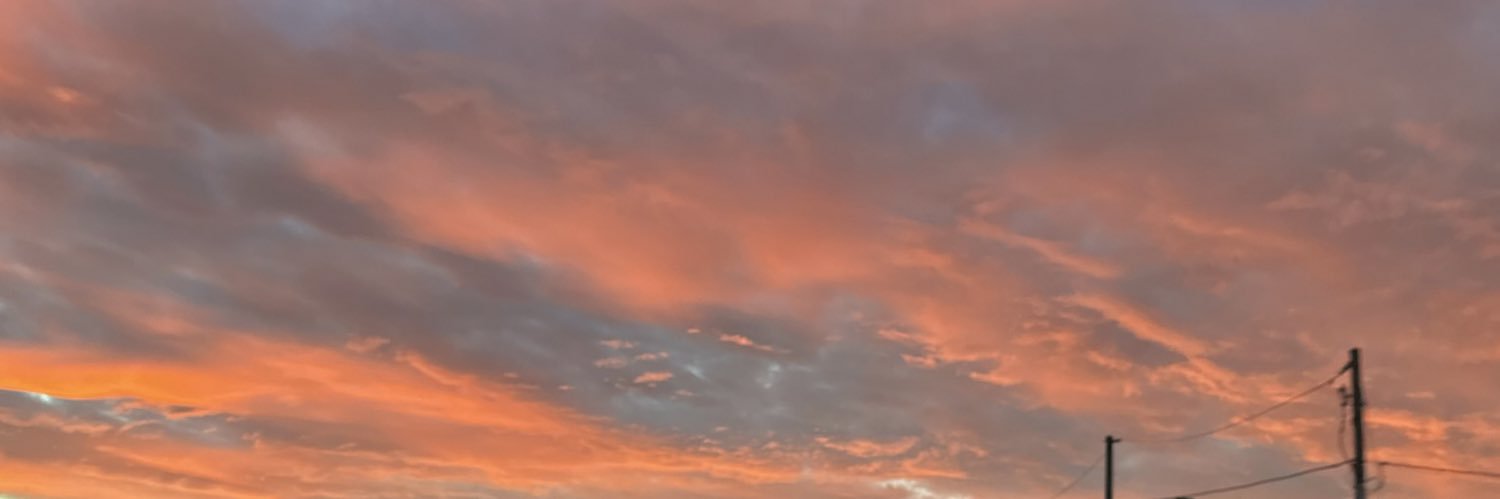 arianalsanchez_'s profile banner image