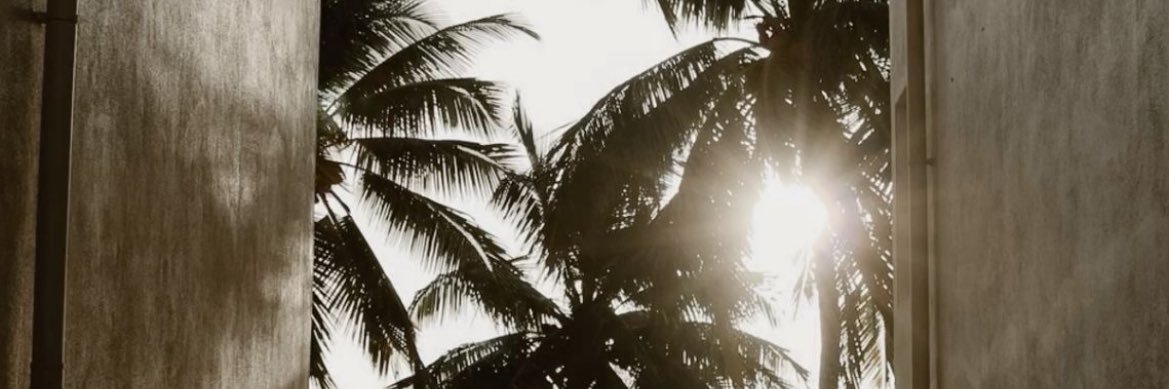 nn banner