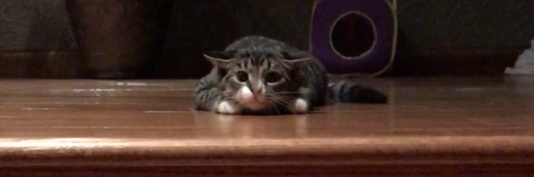 Kyle_Graven's profile banner image