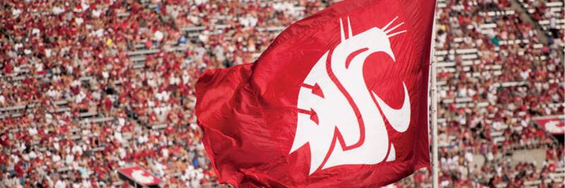 Ronel Balatbat banner